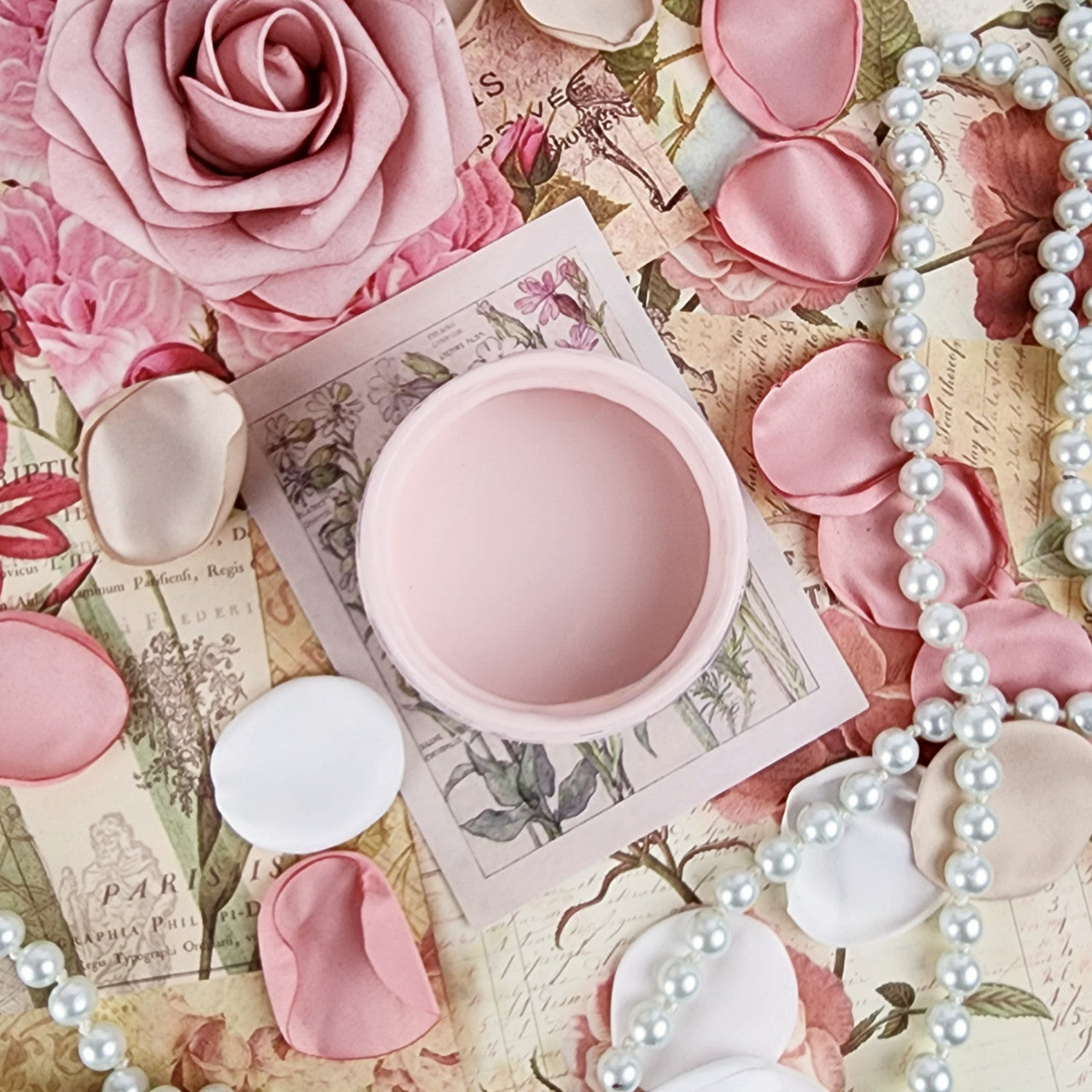 Vera At The Ballet Acrylic Mineral Paint - Paint Couture