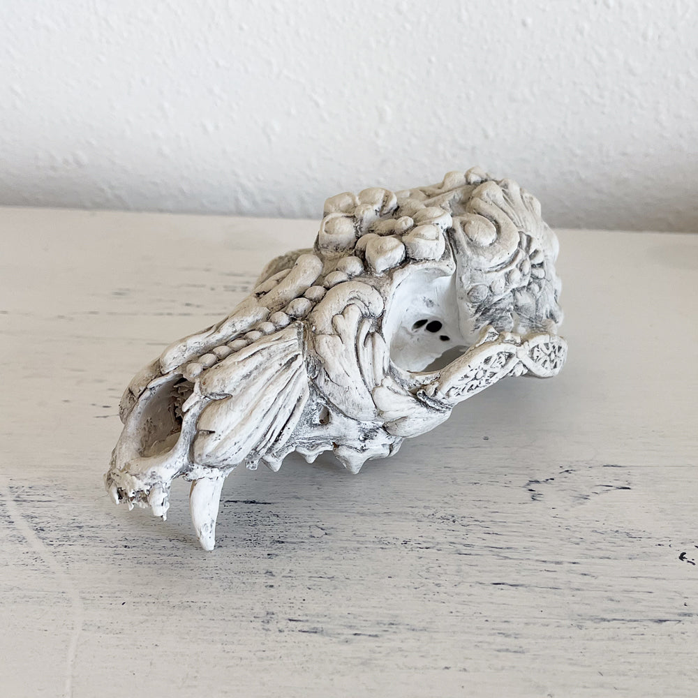 Authentic Decorative Coyote Skull