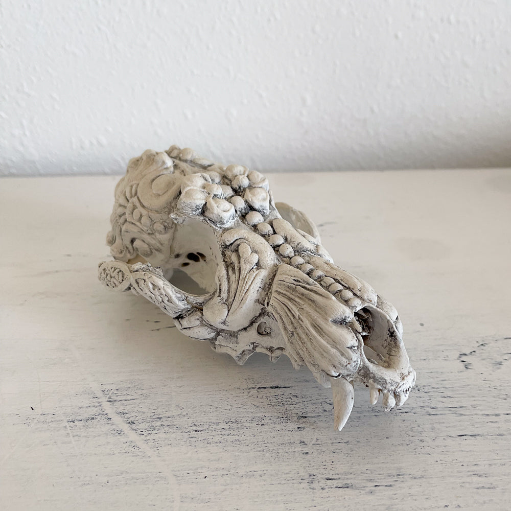 Authentic Decorative Coyote Skull