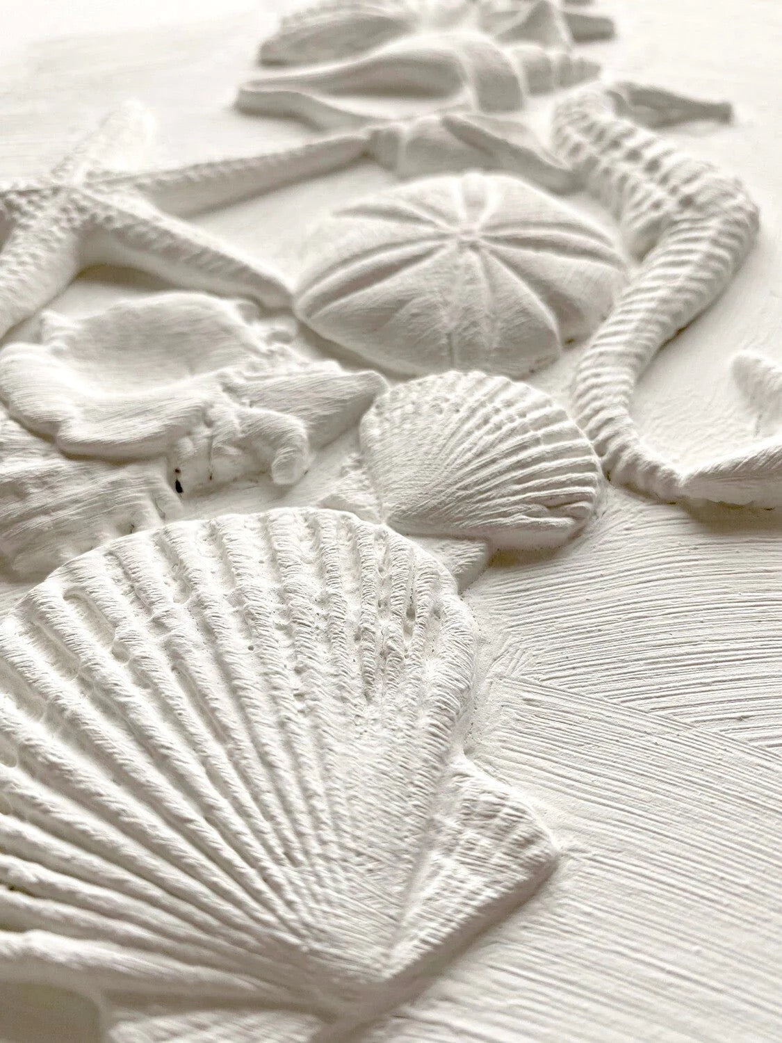 IOD Sea Shells Decor Mould - Iron Orchid Designs
