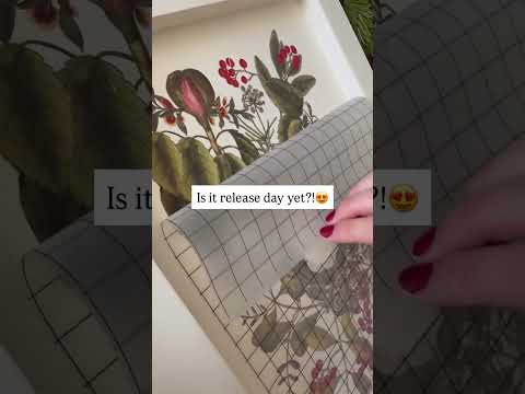 IOD Clementine Decor Transfer - Iron Orchid Designs | Limited Edition