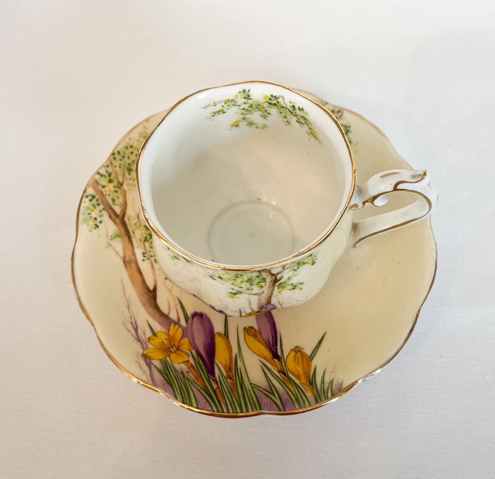 Royal Ablert Crocus Tea Set - Crown China England