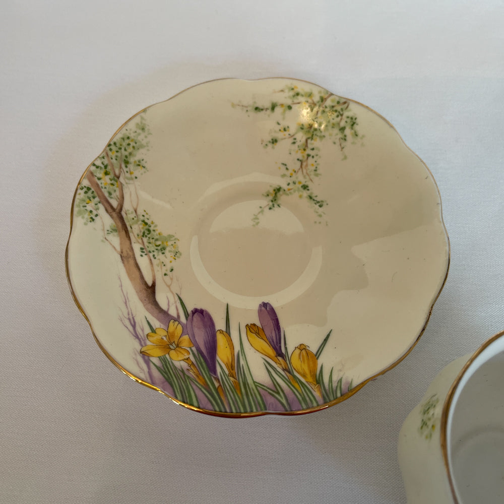 Royal Ablert Crocus Tea Set - Crown China England