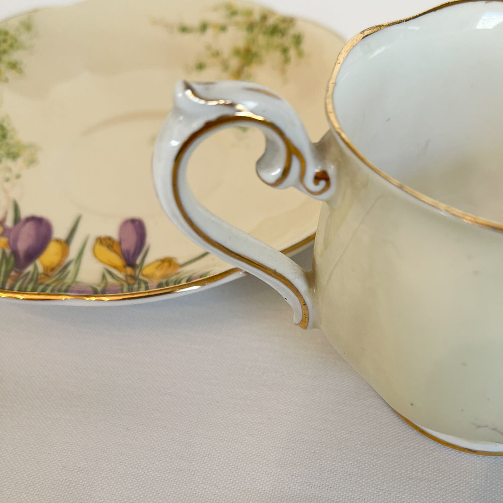 Royal Ablert Crocus Tea Set - Crown China England