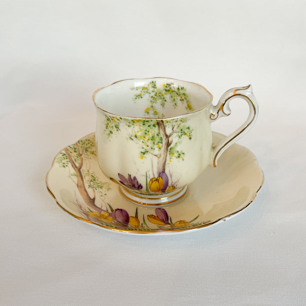 Royal Ablert Crocus Tea Set - Crown China England